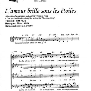 AMOUR BRILLE SOUS LES ETOILES (L')