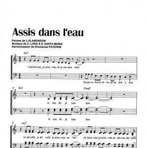 ASSIS DANS L'EAU