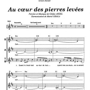 AU COEUR DES PIERRES LEVEES