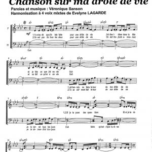 CHANSON SUR MA DROLE DE VIE