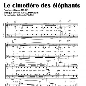 CIMETIERE DES ELEPHANTS (LE)
