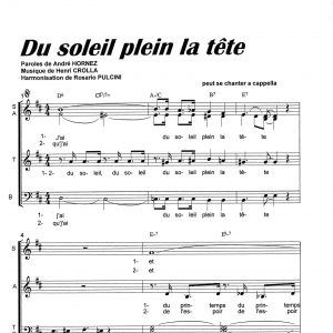 DU SOLEIL PLEIN LA TETE