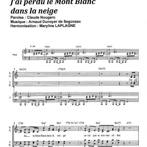 J'AI PERDU LE MONT BLANC DANS LA NEIGE