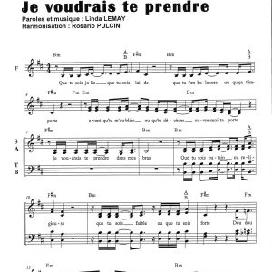 JE VOUDRAIS TE PRENDRE