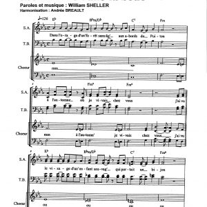 MIROIRS DANS LA BOUE (LES)