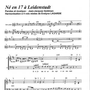 NE EN 17 A LEIDENSTADT