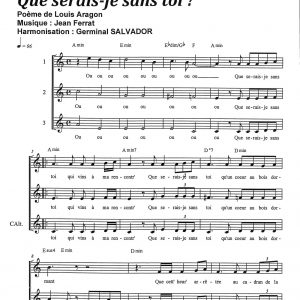 QUE SERAIS-JE SANS TOI ?