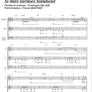 SI MES LARMES TOMBENT