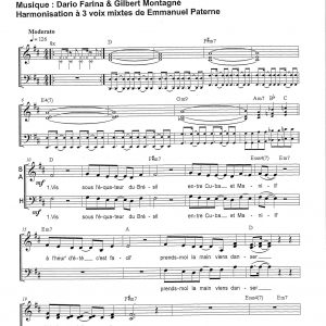 SOUS LES SUNLIGHTS DES TROPIQUES