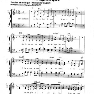 TEMOIN MAGNIFIQUE (LE)