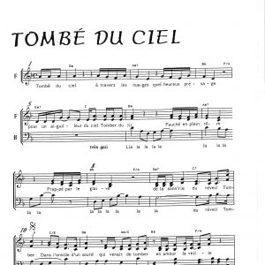 TOMBE DU CIEL