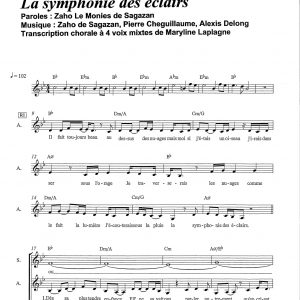 LA SYMPHONIE DES ECLAIRS