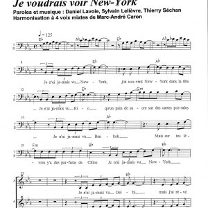 JE VOUDRAIS VOIR NEW YORK